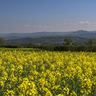 Blick zur schwäbischen Alb