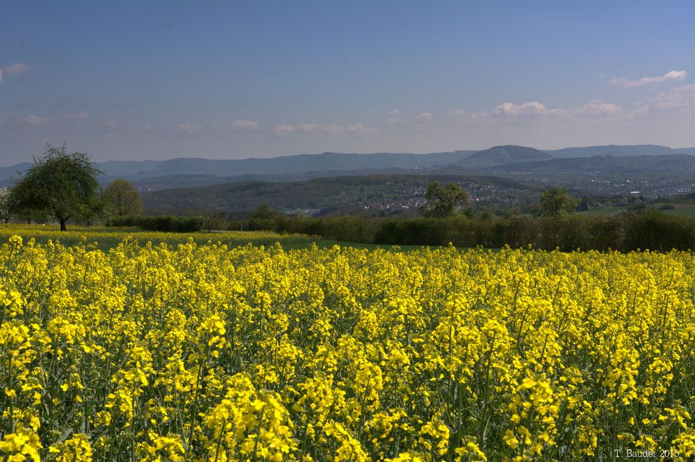 Blick zur schwäbischen Alb