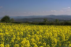 Blick zur schwäbischen Alb