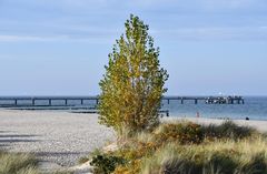 Blick zur Seebrücke im Ostseebad Kühlungsborn