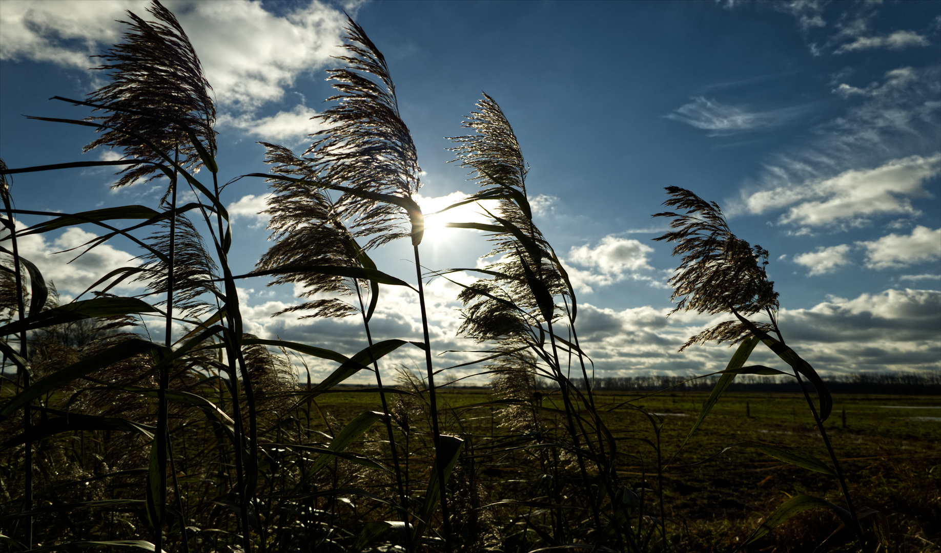 Blick zur Sonne