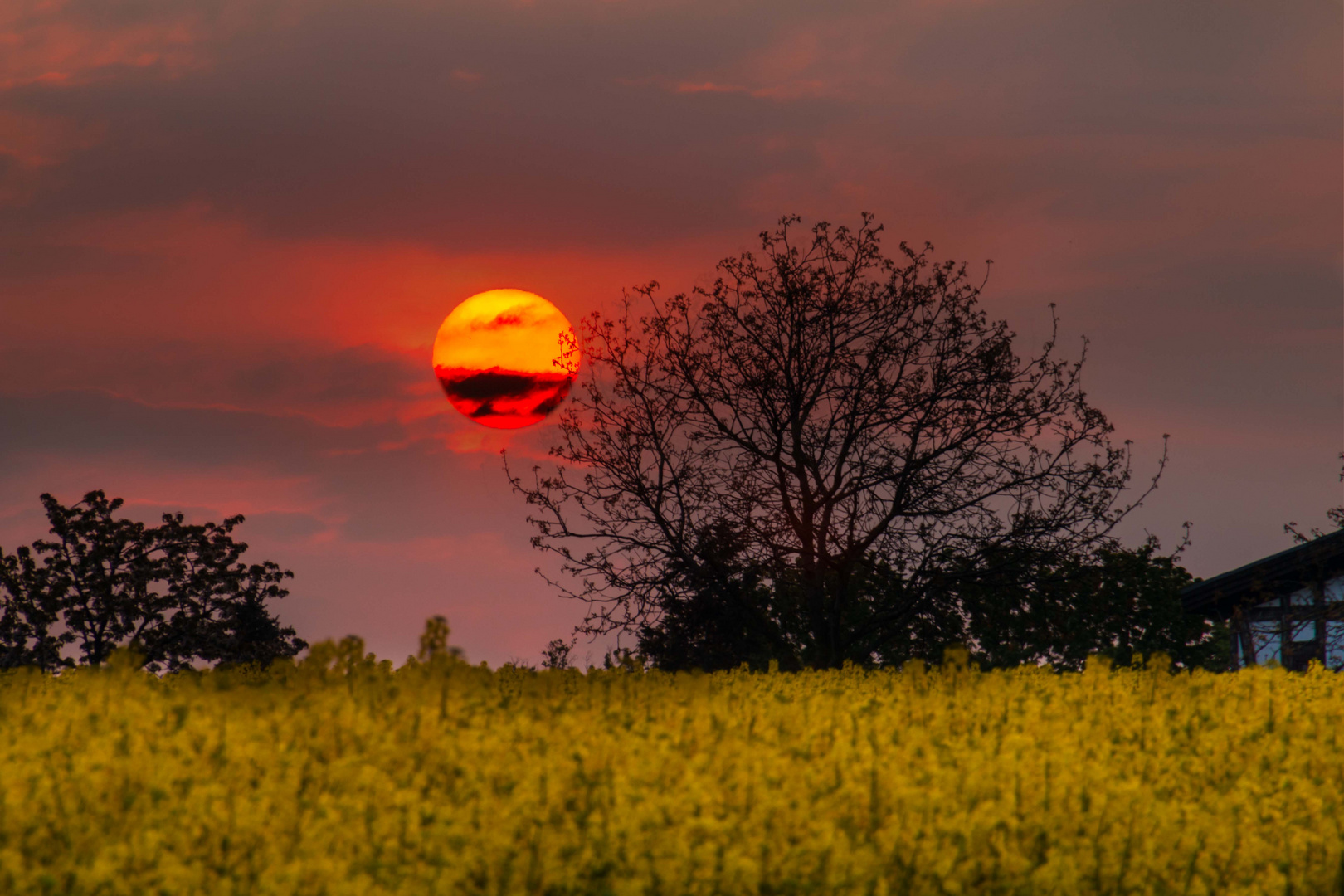 Blick zur Sonne