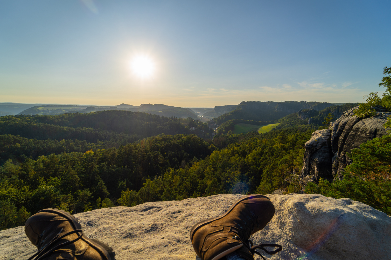 Blick zur Sonne 