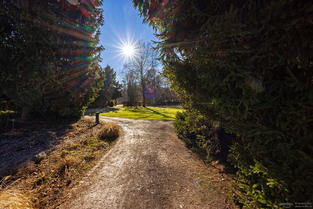 Blick zur Sonne