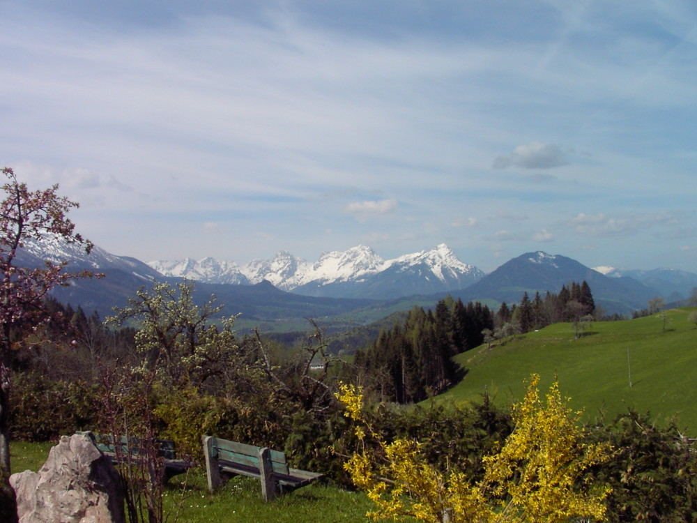 Blick zur Spitzmauer und Großen Priel