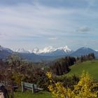 Blick zur Spitzmauer und Großen Priel