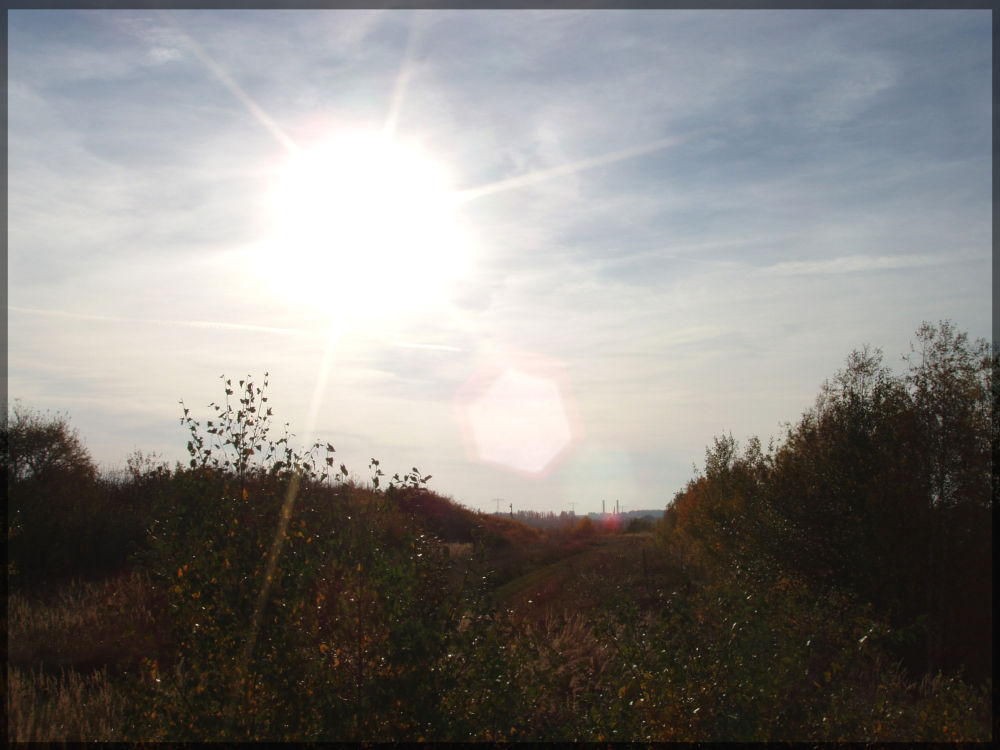 Blick zur Stadt