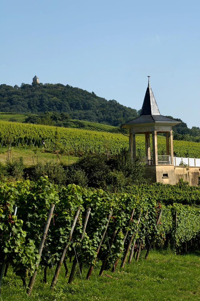 Blick zur Starkenburg