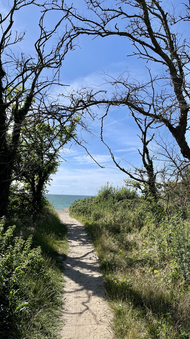 Blick zur Steilküste