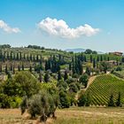 Blick zur Strada Provinciale della Badia di Sant’Antimo