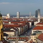 Blick zur Theatinerkirche nach Norden