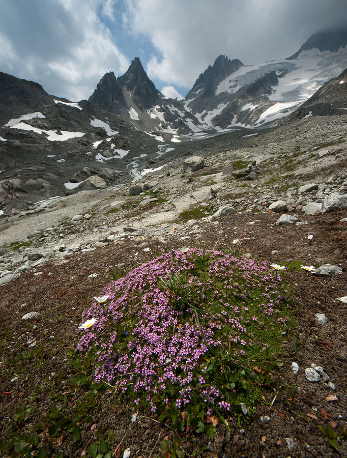 Blick zur unteren Bielenlücke und zum Chli Bielenhorn