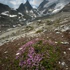 Blick zur unteren Bielenlücke und zum Chli Bielenhorn