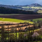 Blick zur Veste Otzberg