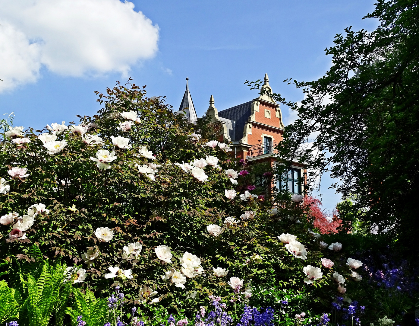 Blick zur Villa Eller