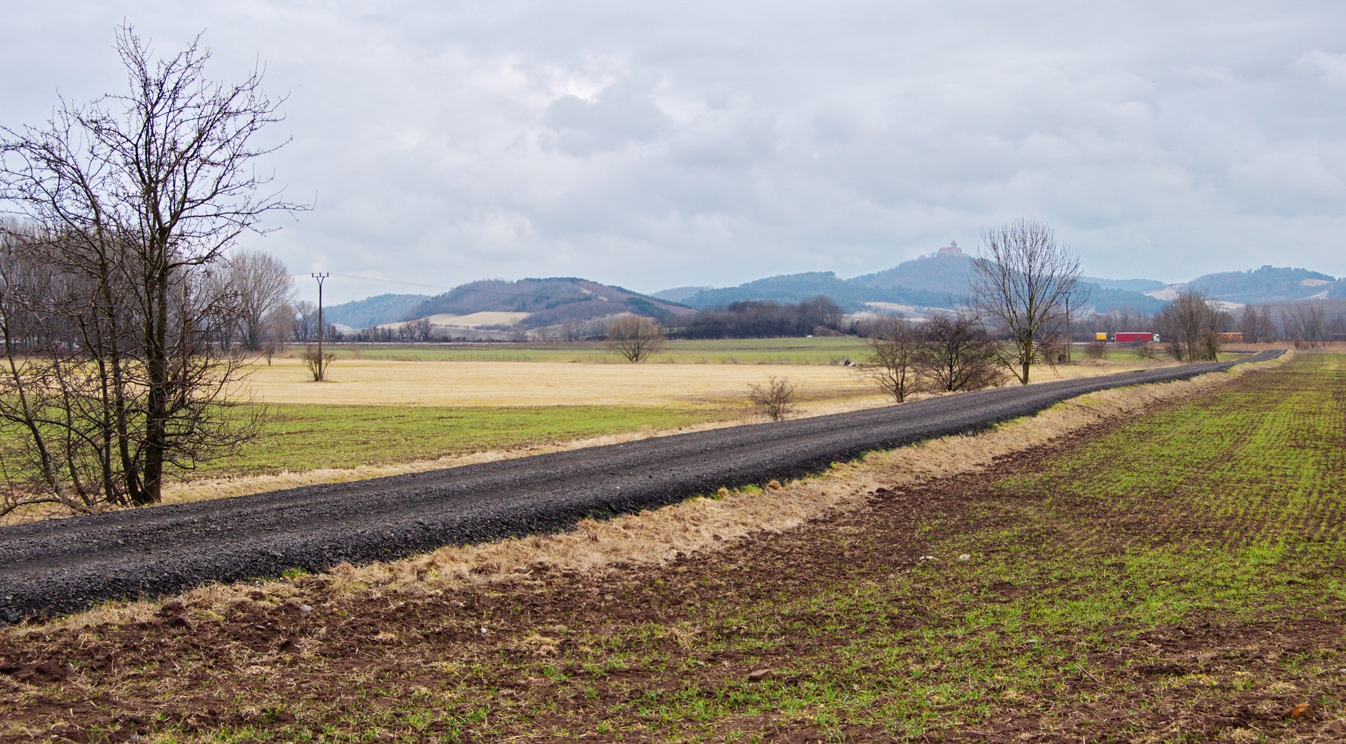 Blick zur Wachsenburg