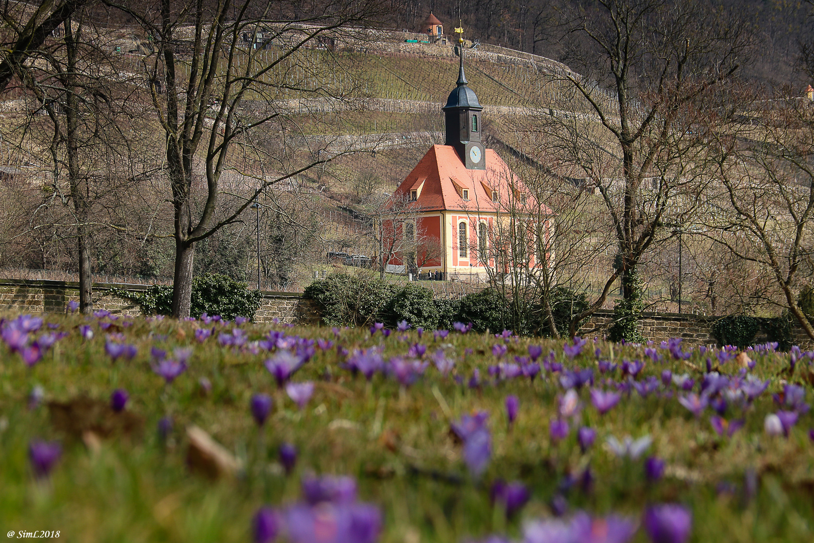 Blick zur Weinbergkirche