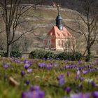 Blick zur Weinbergkirche