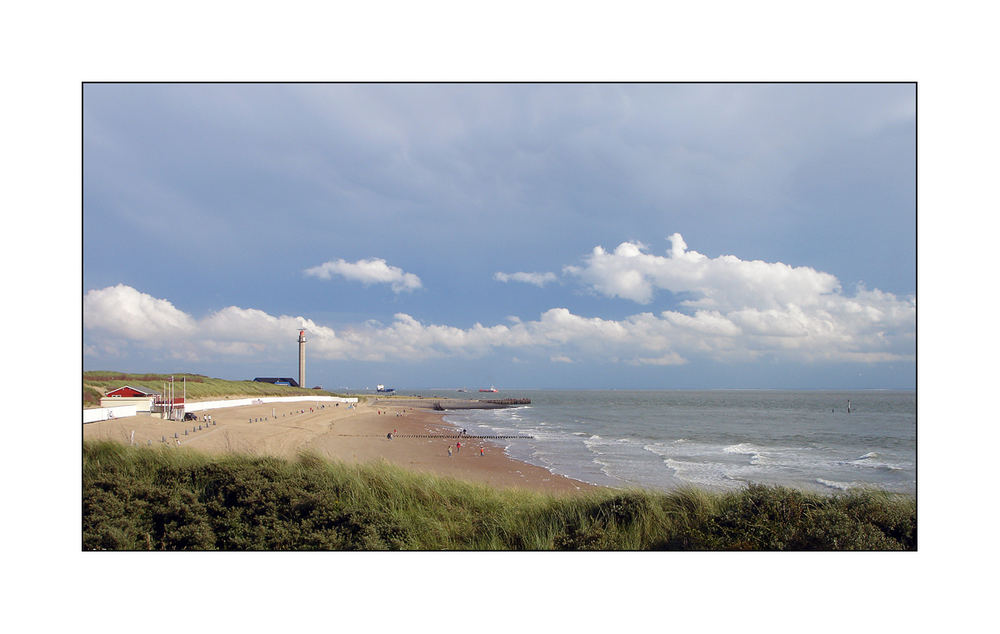 Blick zur Westerschelde