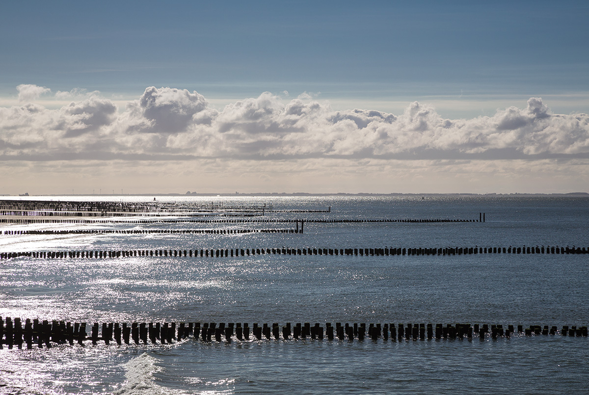 ... Blick zur Westerschelde ...