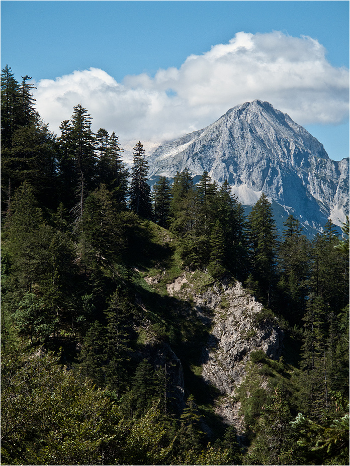 Blick zur Wettersteinspitze