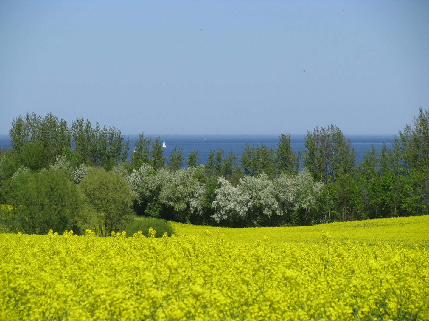 Blick zur Wohlenberger Wiek