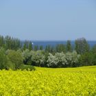 Blick zur Wohlenberger Wiek