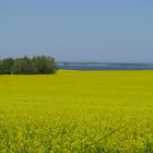 Blick zur Wohlenberger Wiek mit der Weißen Wiek (Boltenhagen-Tarnewitz)