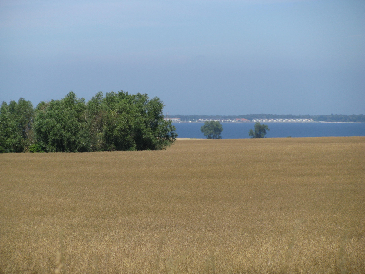 Blick zur Wohlenberger Wiek mit der Weißer Wiek von Boltenhagen