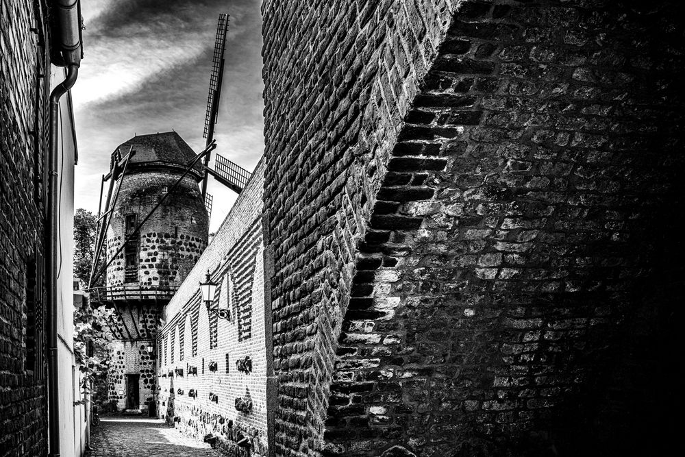 Blick zur Zonser Windmühle