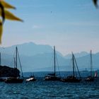 Blick zur Zugspitze