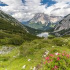 Blick zur Zugspitze