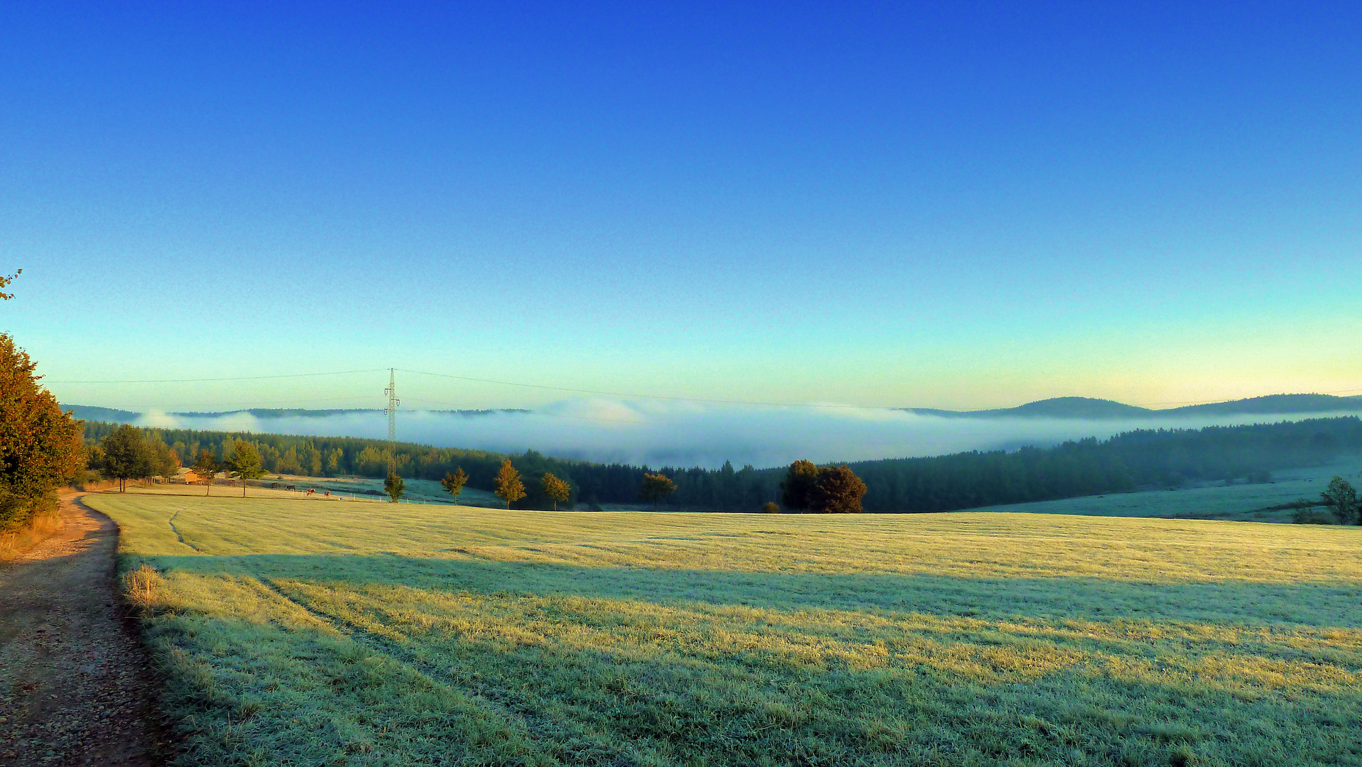 Blick zurTalsperre Eibenstock