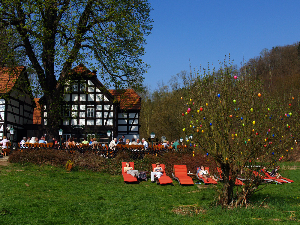 Blick zurück