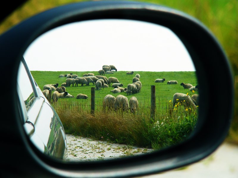 Blick zurück....