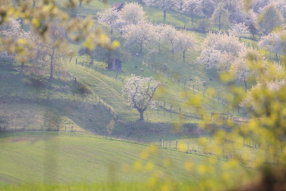 Blick zurück