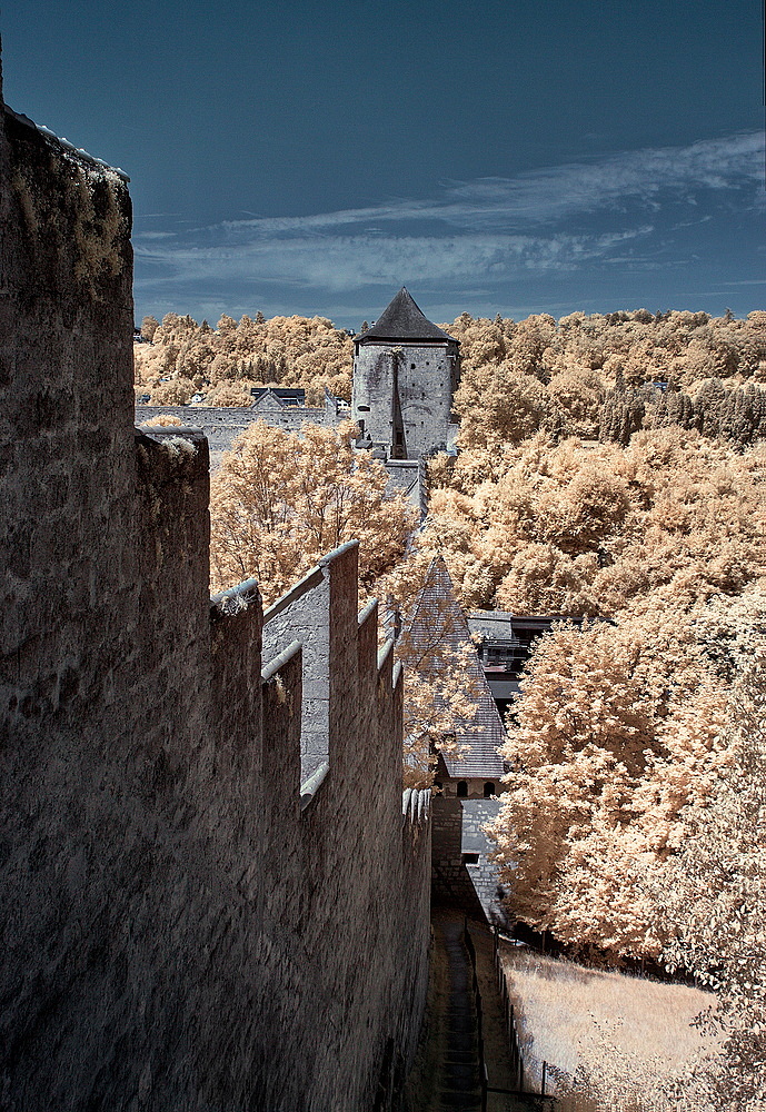 Blick zurück