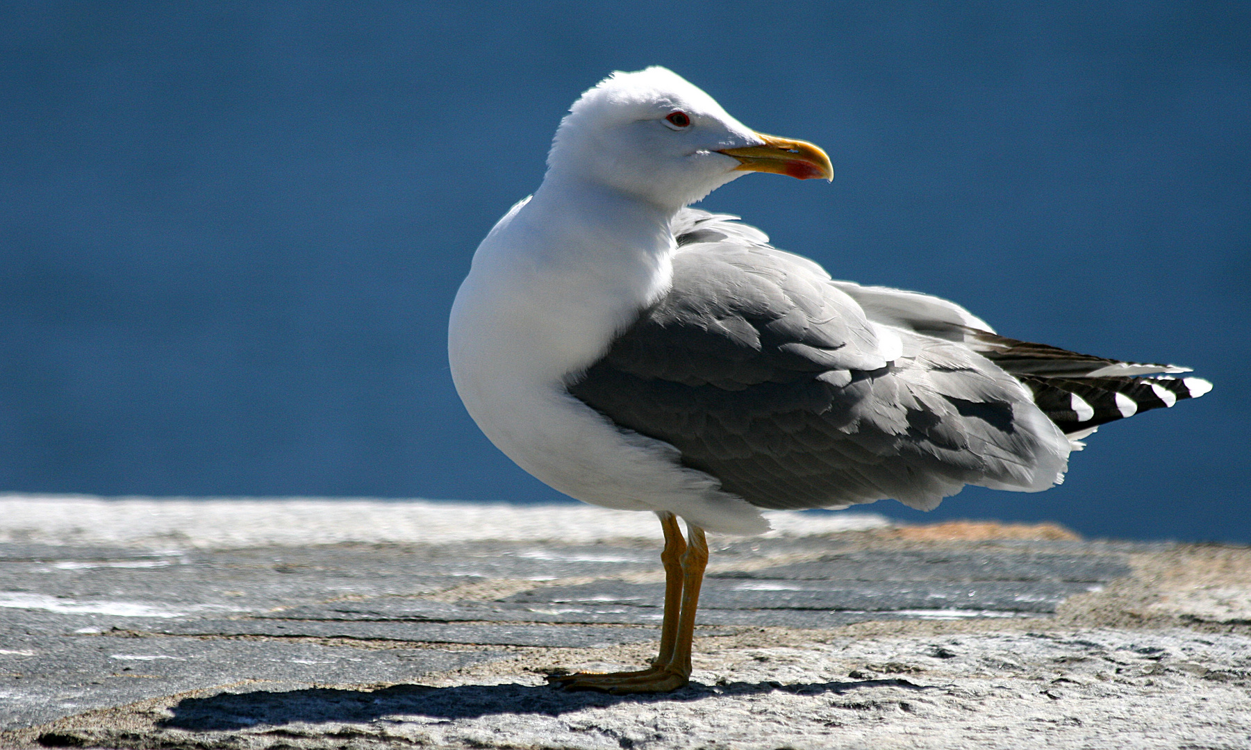 Blick zurück