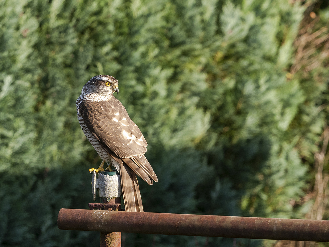 Blick zurück