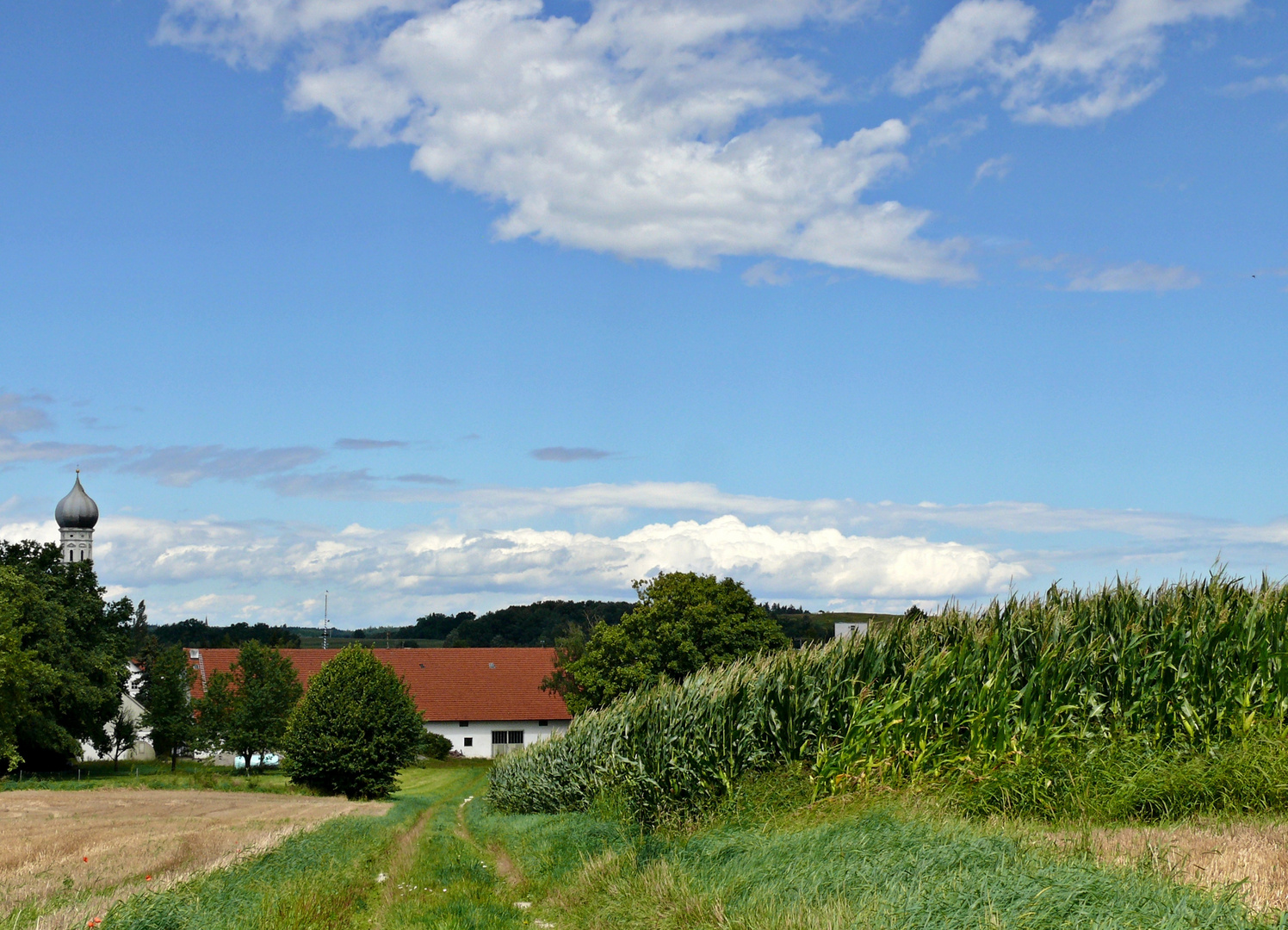 Blick zurück...