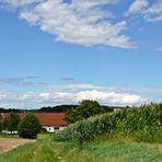 Blick zurück...