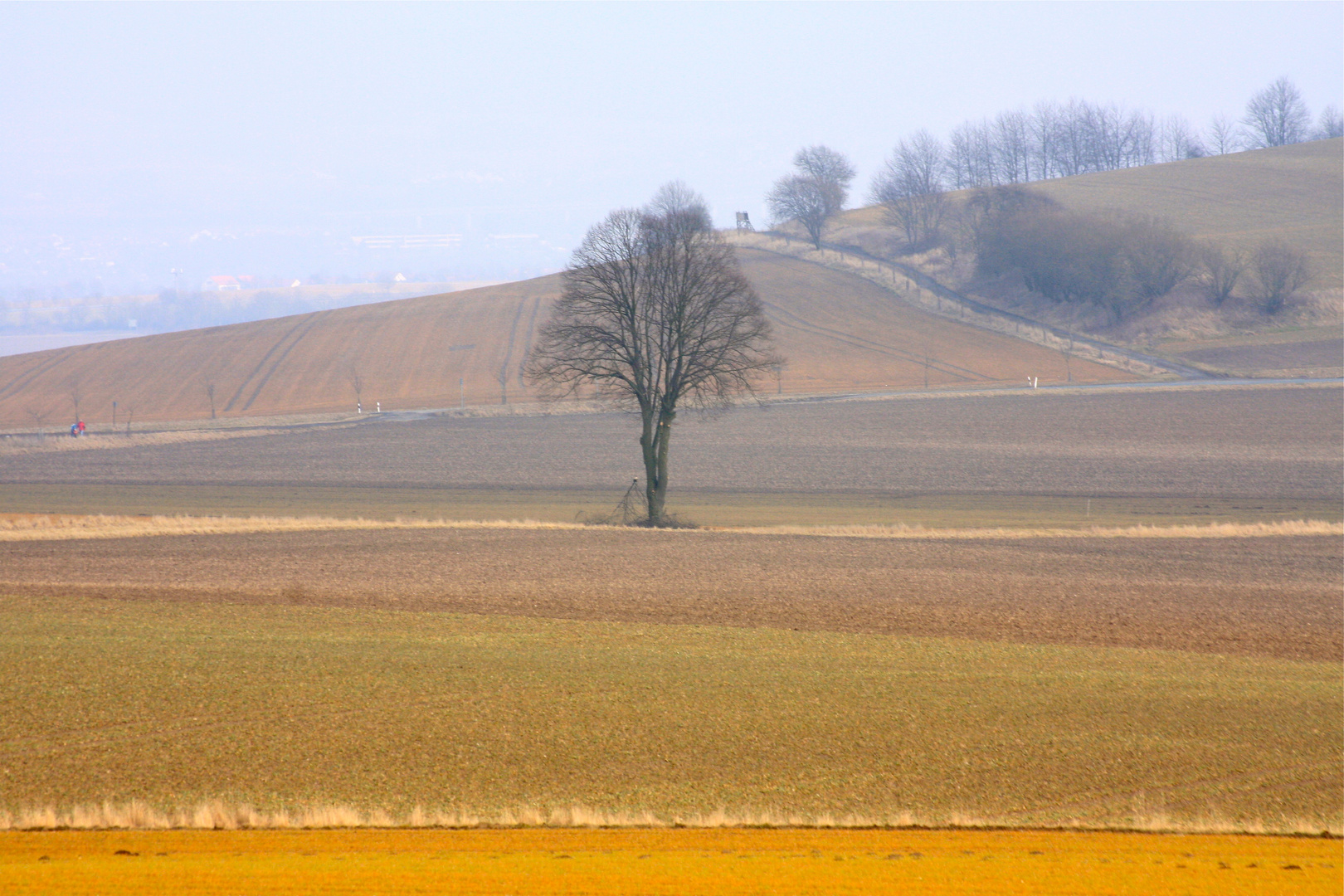 Blick zurück