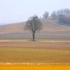 Blick zurück