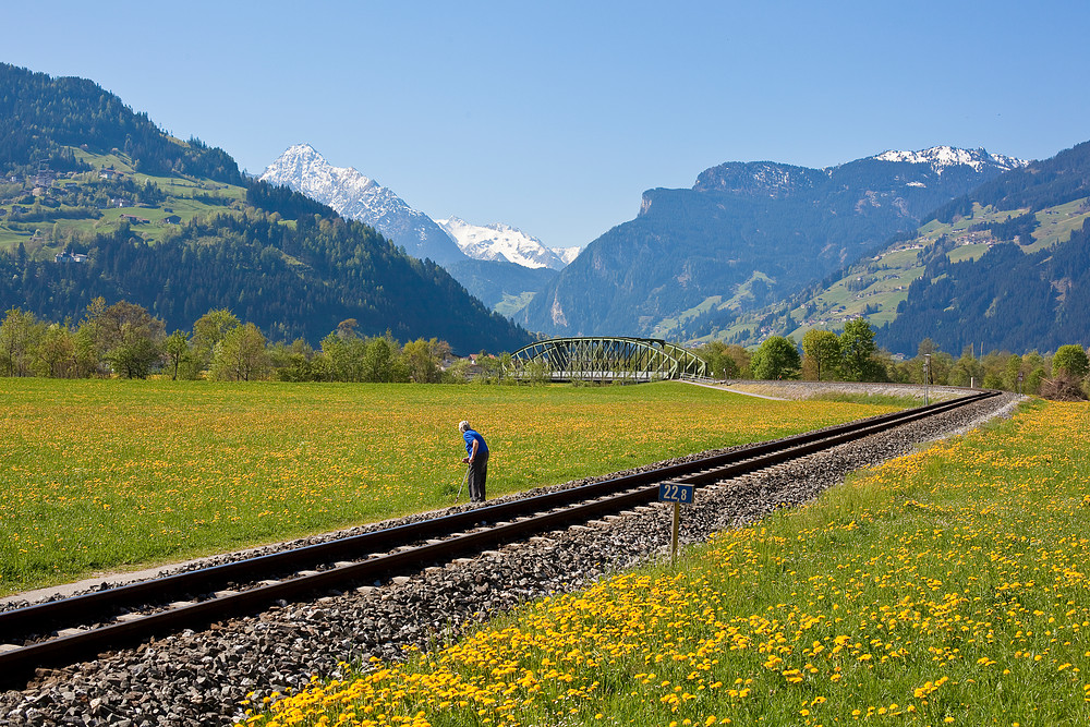 Blick zurück