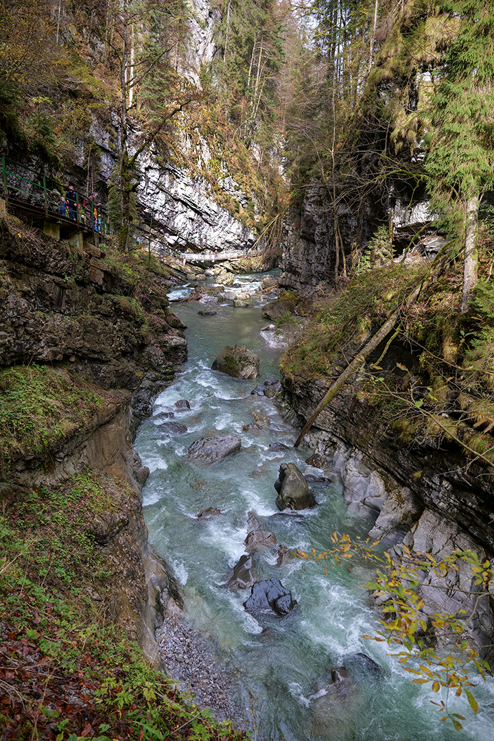 Blick zurück