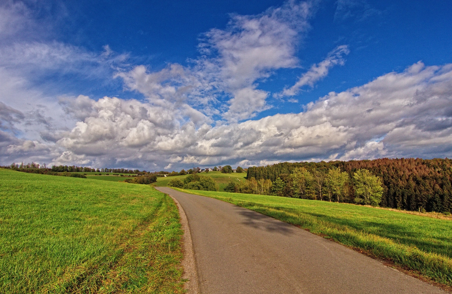 Blick zurück 