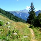 Blick zurück – auf dem Wanderweg im Garneratal