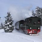 Blick zurück auf den Brocken