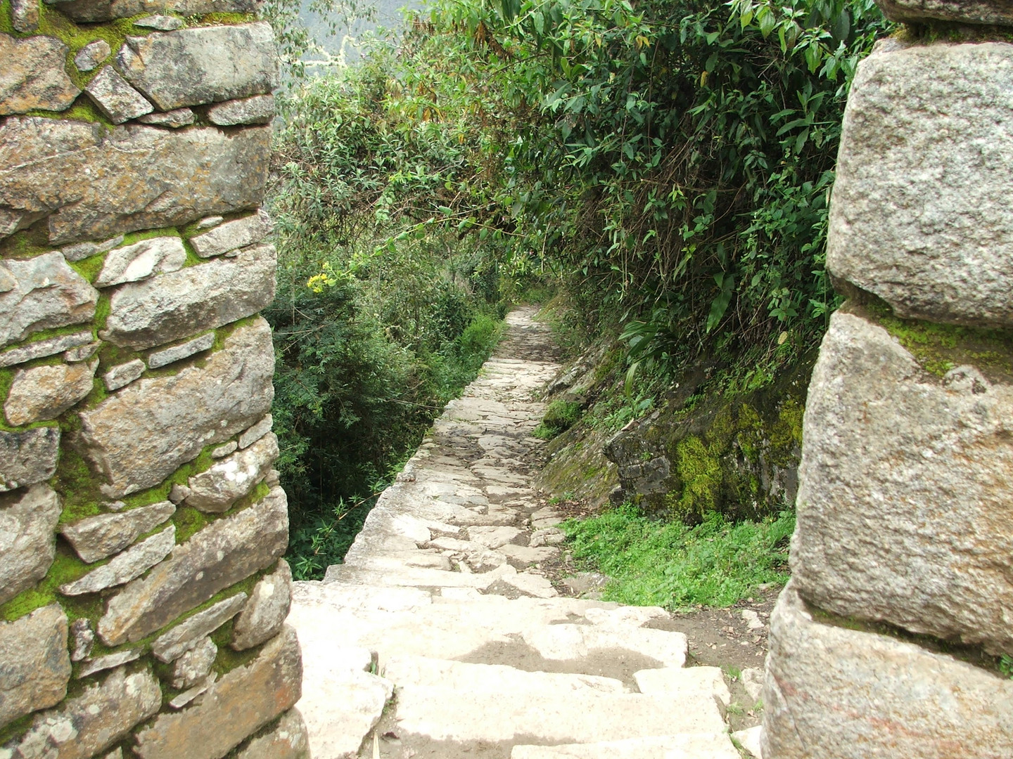 Blick zurück auf den Inca Trail