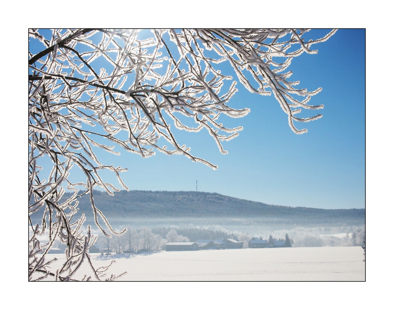 Blick zurück auf den Winter